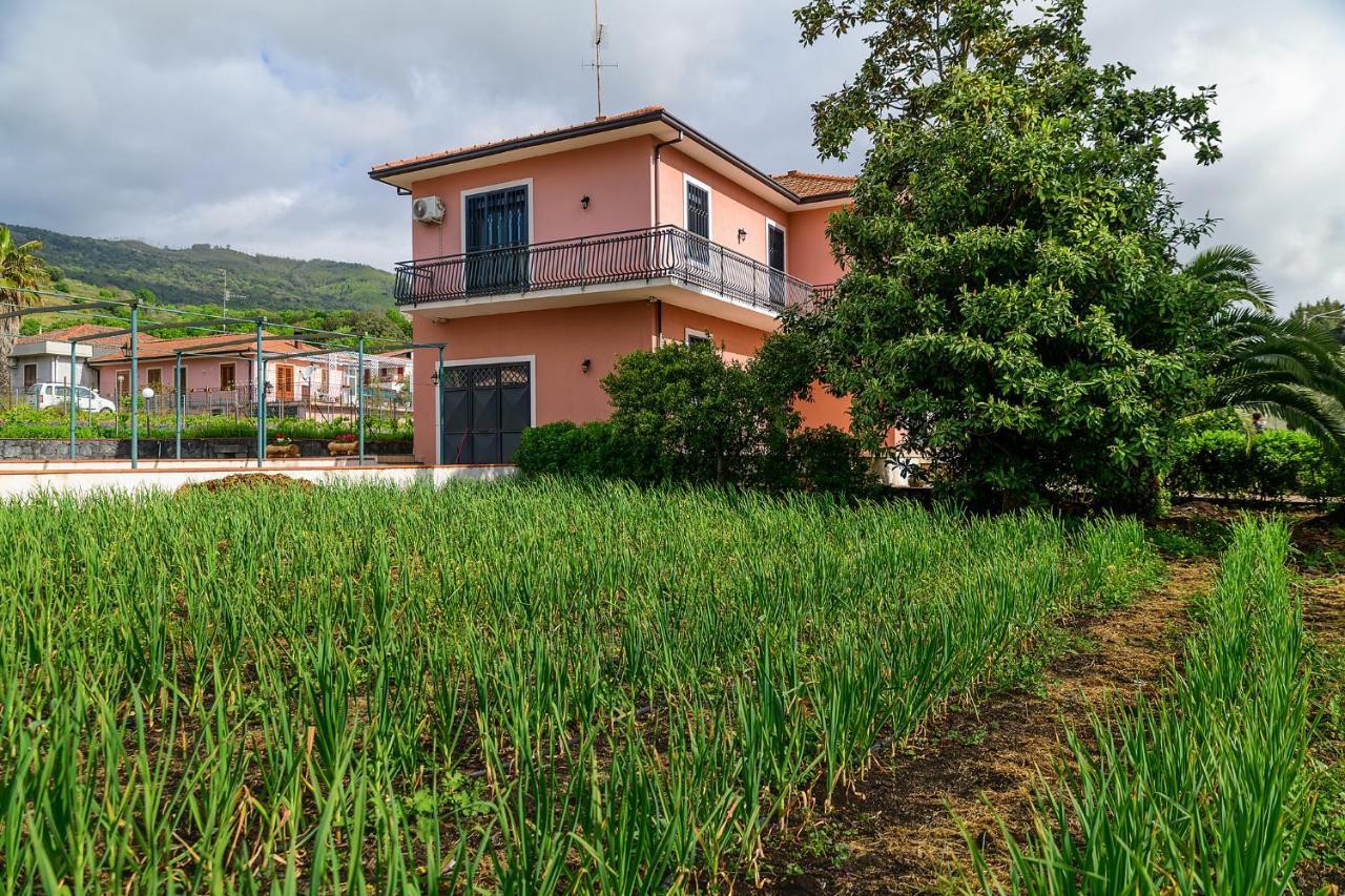 Bee Happy - Bed And Breakfast Zafferana Etnea Esterno foto